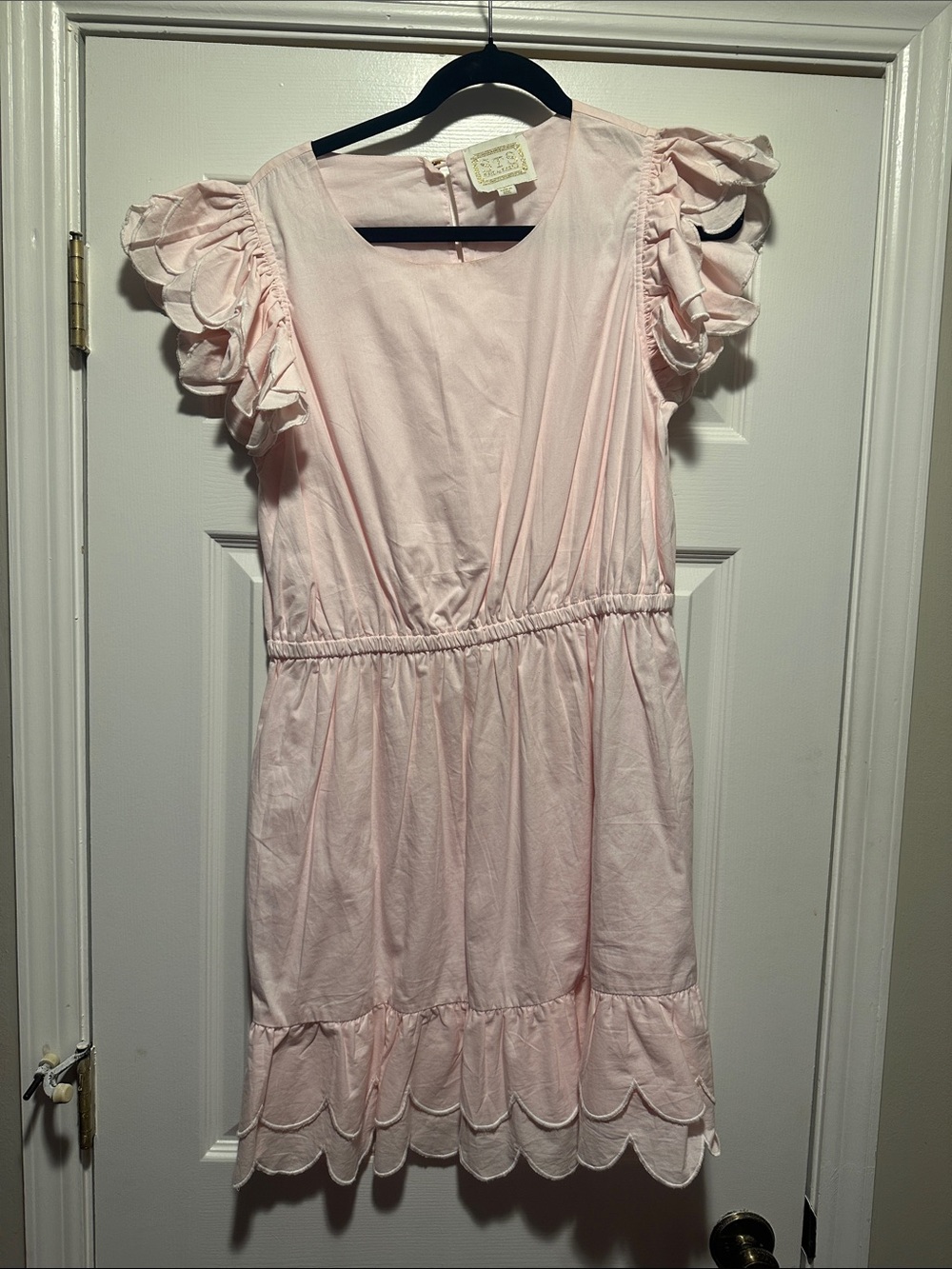Sail to Sable Soft Pink Ruffle Sleeve Cotton Dress